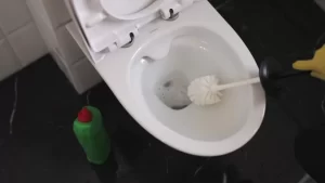 blocked toilet solutions